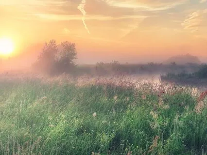 Caravan In The Misty Meadow: Bedtime Tale