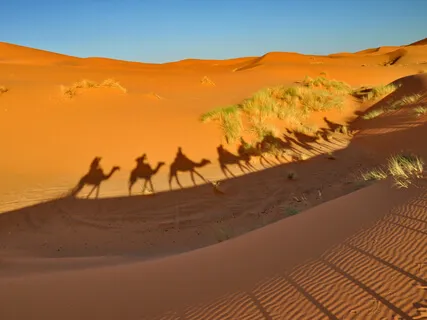 Caravan Of Silk (Extended)