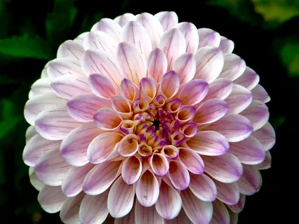 Cardiac Coherent Breathing