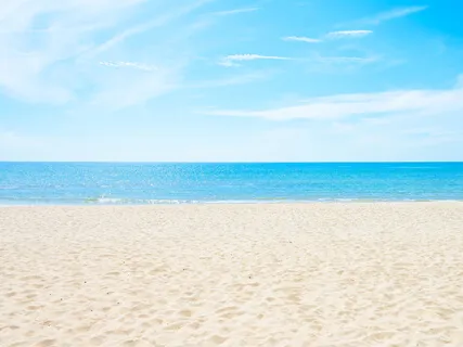 Carefree Day At The Beach