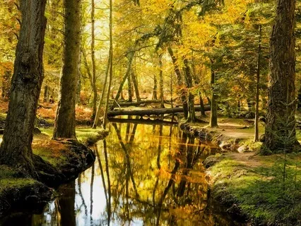 Carefree Days | Piano Improvisation