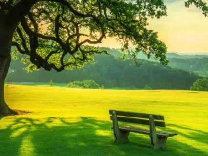 Caregiver Burnout Relief