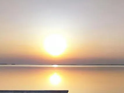 Caregiver Calm - Emergency Burnout Reset