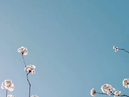 Caregiver Calm - You Are Allowed To Pause