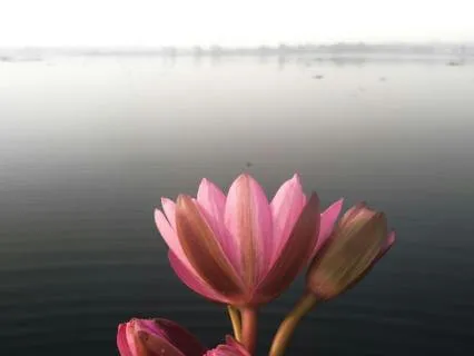 Caregiver Calm - You Are Doing Better Than You Think