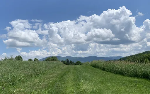 Caregivers: 3 Mindfulness Tools To Get You Through the Day