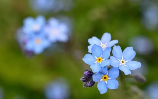 Caring For Difficult Emotions