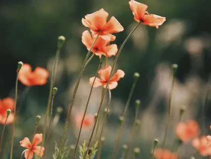 Caring For Others Without Losing Yourself