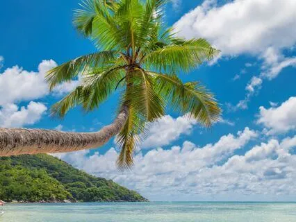 Caring For Our Figure It Out Part