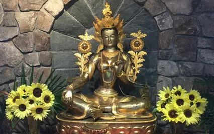 Caring Moment Meditation