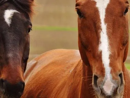 Stop Taking On Others' Emotions