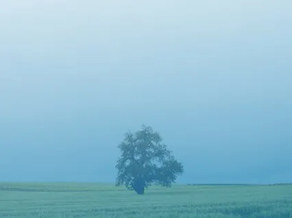 Carl Lord - Prayerful