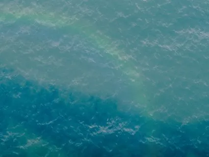 Carl Lord - Stillness