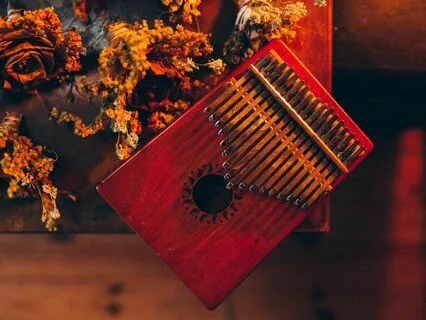 Carnaval das Arvores, Kalimba Instrumental Druming