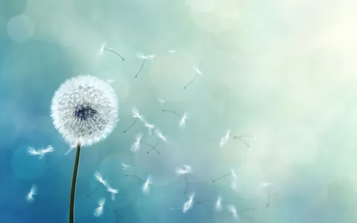 Carried By The Wind - Inspirational Music