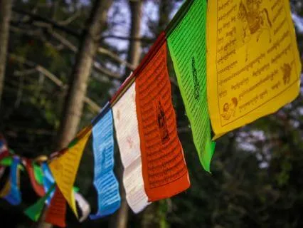 Carried On The Wind | A Meditation For Peace