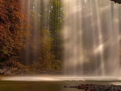 Resting Before Sleep