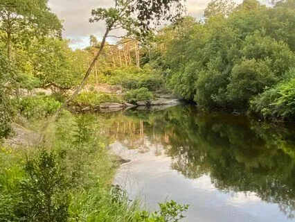 Cash Flow (Money) Affirmations