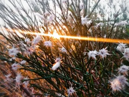 Casting Light On The Shadows In Ourselves - Guided Practice