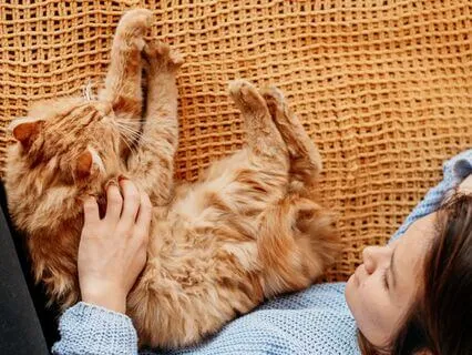 Cat Purr Waves Of Healing Visualization