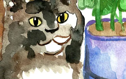 Cat Purring, Best Relaxation For Anxiety And Insomnia, Cats 