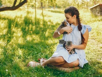 Cat Secret Garden Guided Imagery For Comfort & Joy