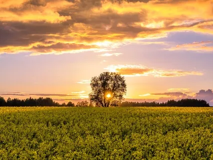 Catastrophic Thoughts And Safety