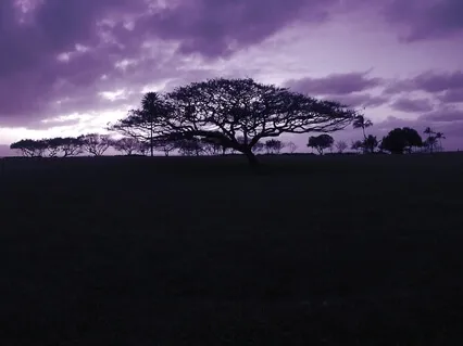 Catch The Rise - Eudaimonia