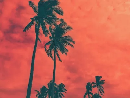 Catch The Rise - Soda And Lime (Instrumental)