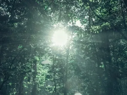 Catching Glimpses Of My True Self