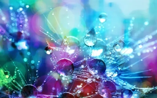 Catching Sleepy Raindrops From Heaven