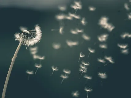 Catching The Breath Meditation