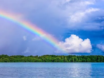 Catching The Good In Your Life