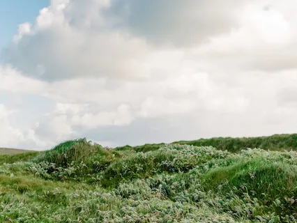 Celebrate While Grieving