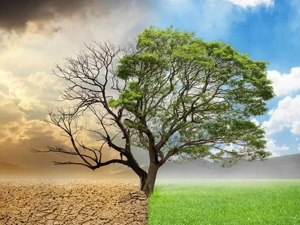 Celebrate Your Life: A Gratitude Practice