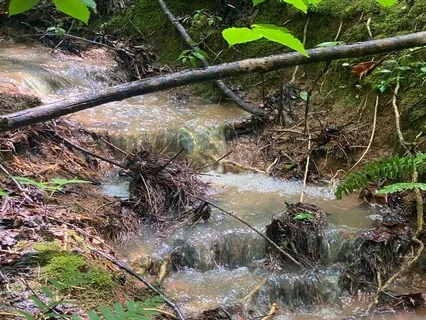 Celebrating The Present Moment