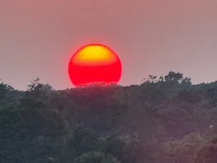Celebrating The Summer Solstice