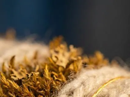 Celebrating The Wandering Mind: Neuro-Affirming Practice