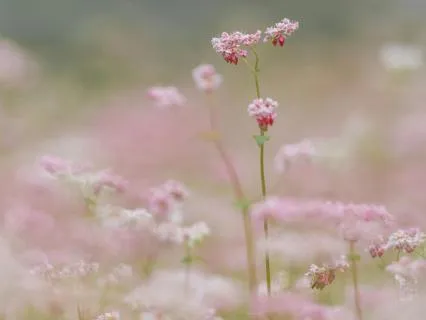 Celebration Is A Skill, Not A Personality Trait