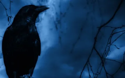 Celebration Of Darkness