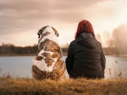 Celebration Of Our Pets Meditation