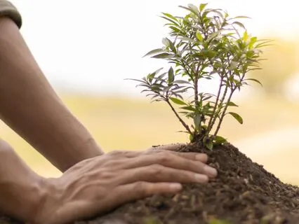 Celebration Playlist