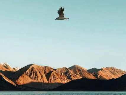 Celebration & Pride Parts Work