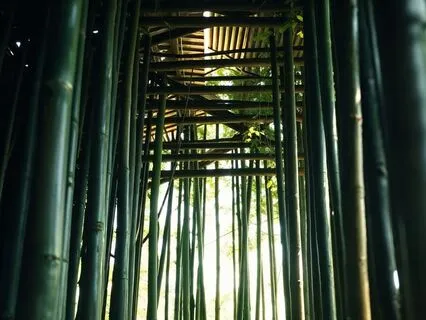 Celestial Ancestry – Ethereal Vocals & Ancestral