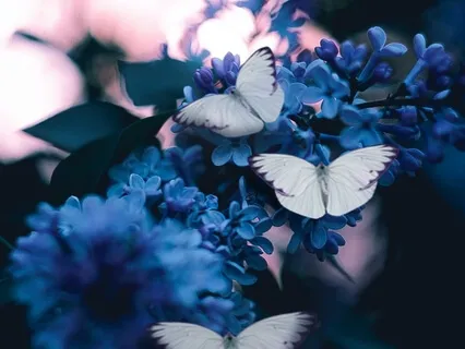 Celestial Butterflies (Instrumental)