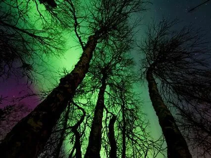 Celestial Chants - Transcendent Journeys Unveiled