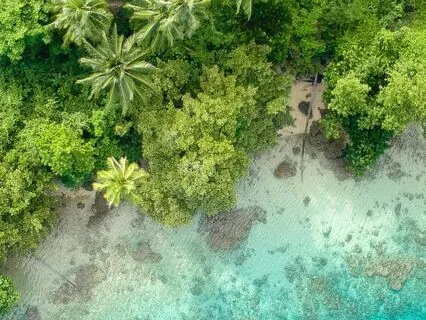 Celestial Drift: Music For Focus And Relaxation