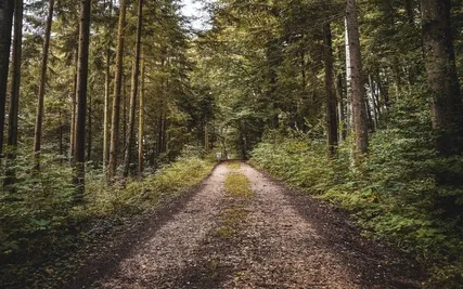 Celestial Flute Journey