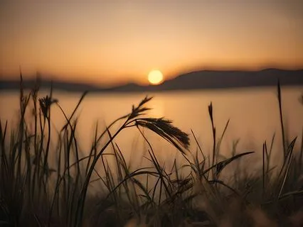 Celestial Harmony In 432 Hz: An Exploration