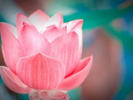 Celestial Healing (528 Hz): Reiki Music For Positive Change